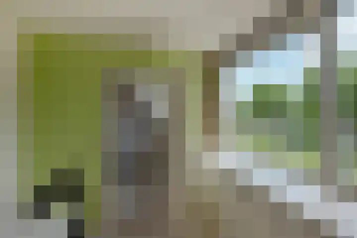 Buizerdveld 15 Zoetermeer thumbnail 35