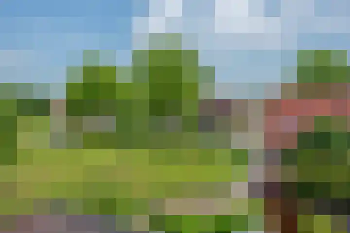 Buizerdveld 15 Zoetermeer thumbnail 39