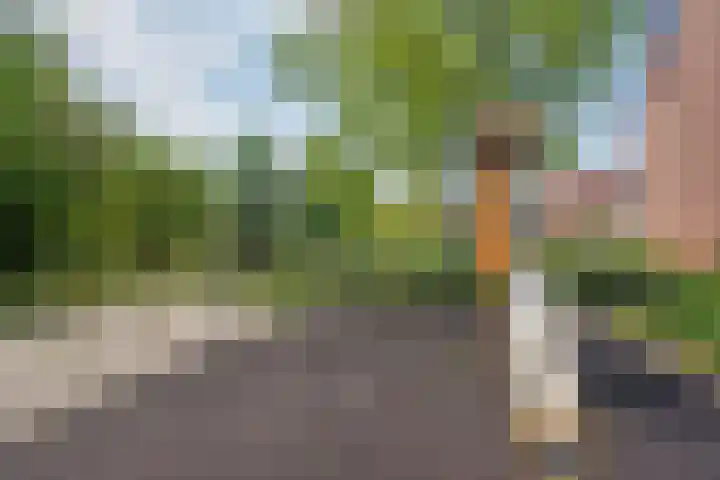 Buizerdveld 15 Zoetermeer thumbnail 41