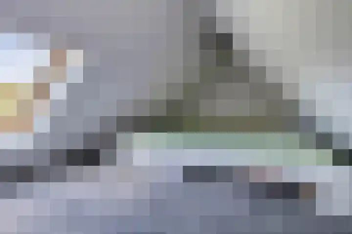 Buizerdveld 173 Zoetermeer thumbnail 33