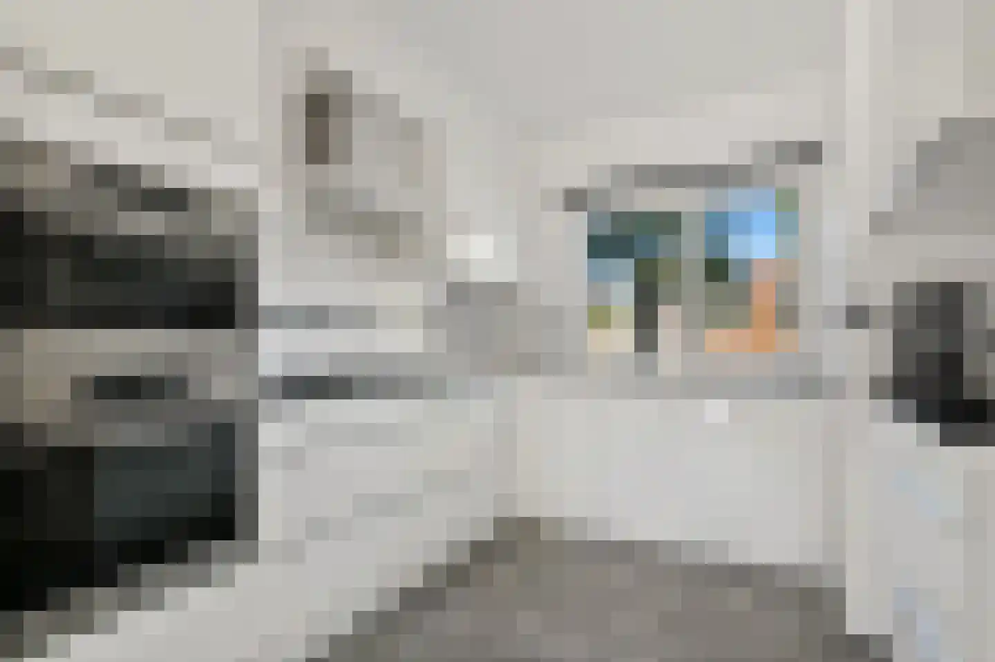 Buizerdveld 209 Zoetermeer thumbnail 13