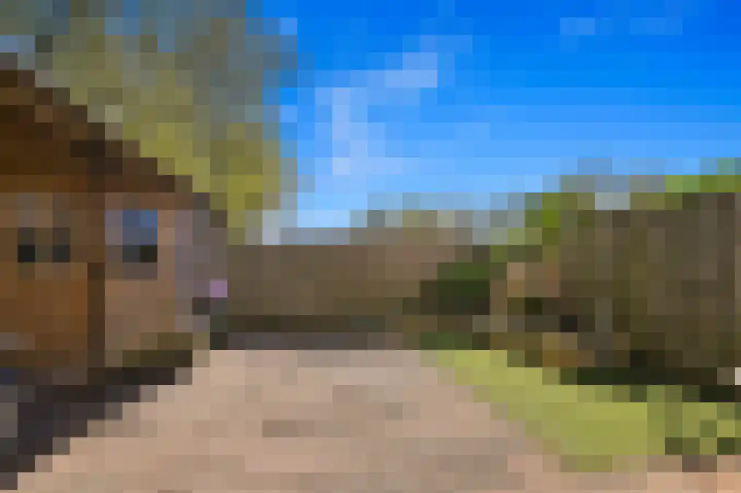 Buizerdveld 209 Zoetermeer thumbnail 16