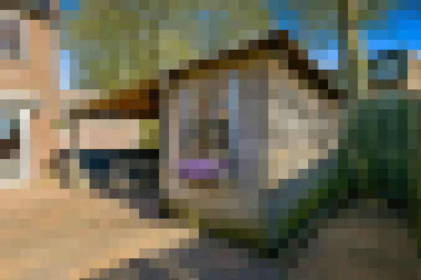 Buizerdveld 209 Zoetermeer thumbnail 17
