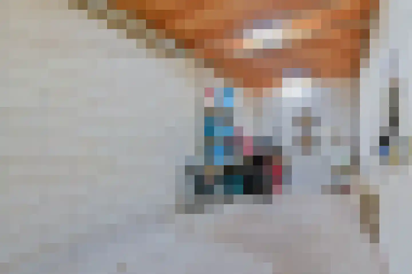 Buizerdveld 209 Zoetermeer thumbnail 19