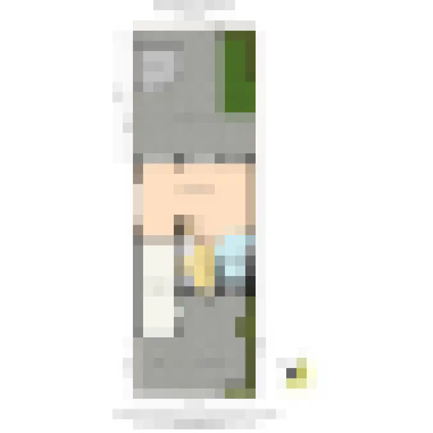 Buizerdveld 209 Zoetermeer thumbnail 44