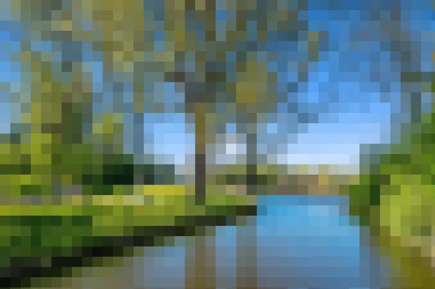 Buizerdveld 209 Zoetermeer thumbnail 48