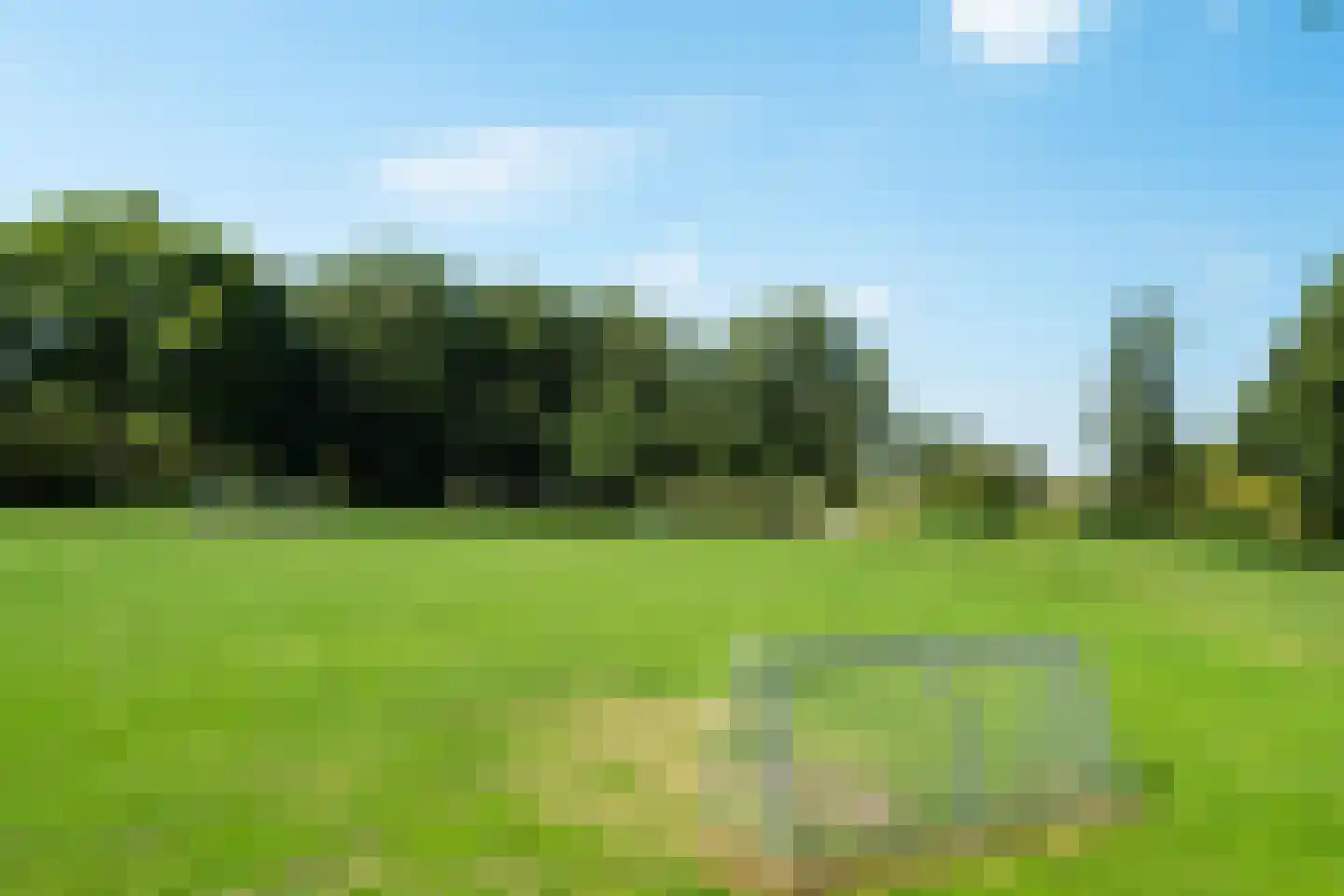 Buizerdveld 30 Zoetermeer thumbnail 58