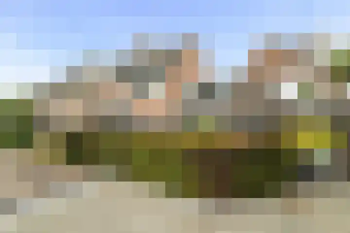 Buizerdweg 110 in Alkmaar