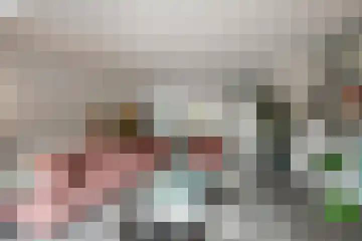 Buizerdweg 110 Alkmaar thumbnail 11