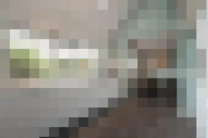 Buizerdweg 110 Alkmaar thumbnail 13