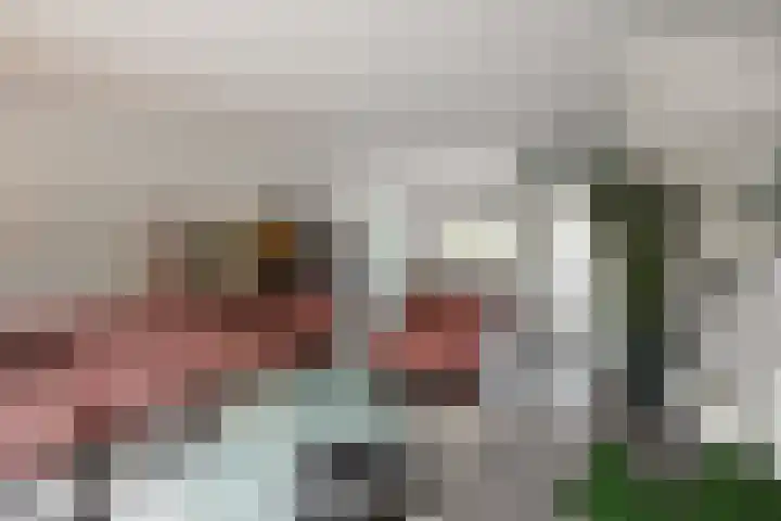 Buizerdweg 110 Alkmaar thumbnail 20