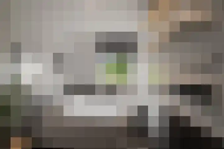 Buizerdweg 110 Alkmaar thumbnail 23