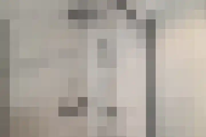 Buizerdweg 110 Alkmaar thumbnail 29