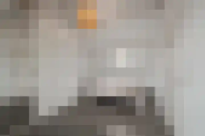 Buizerdweg 110 Alkmaar thumbnail 32