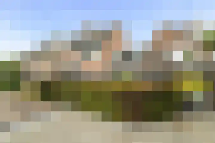 Buizerdweg 110 Alkmaar thumbnail 38