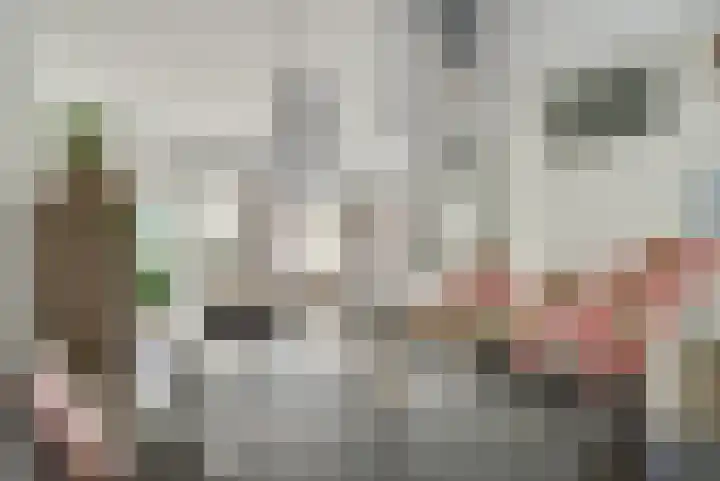 Buizerdweg 12 Alkmaar thumbnail 10