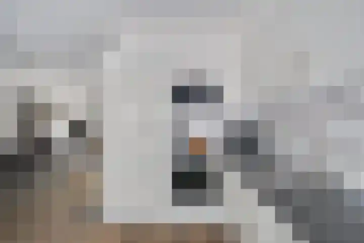 Buizerdweg 12 Alkmaar thumbnail 17