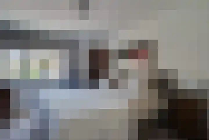 Buizerdweg 12 Alkmaar thumbnail 21
