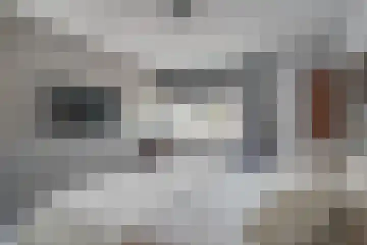 Buizerdweg 12 Alkmaar thumbnail 22