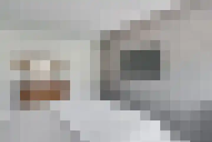 Buizerdweg 12 Alkmaar thumbnail 23