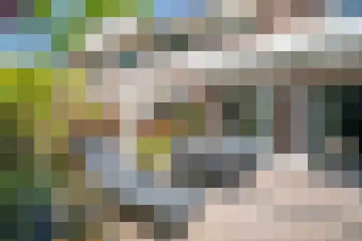 Buizerdweg 12 Alkmaar thumbnail 39