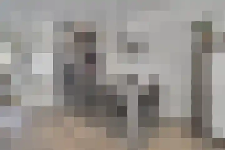 Buizerdweg 12 Alkmaar thumbnail 8