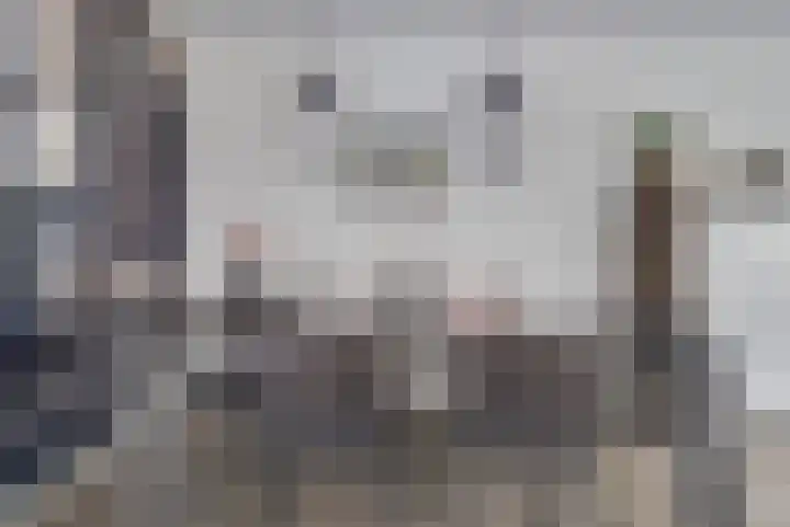 Buizerdweg 12 Alkmaar thumbnail 9