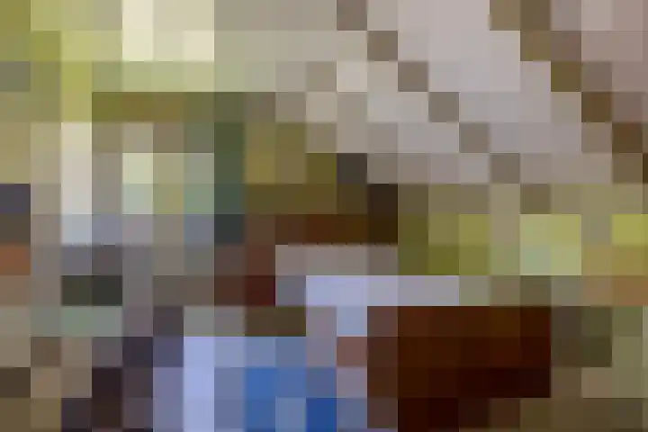 Buizerdweg 2 Heusden thumbnail 16