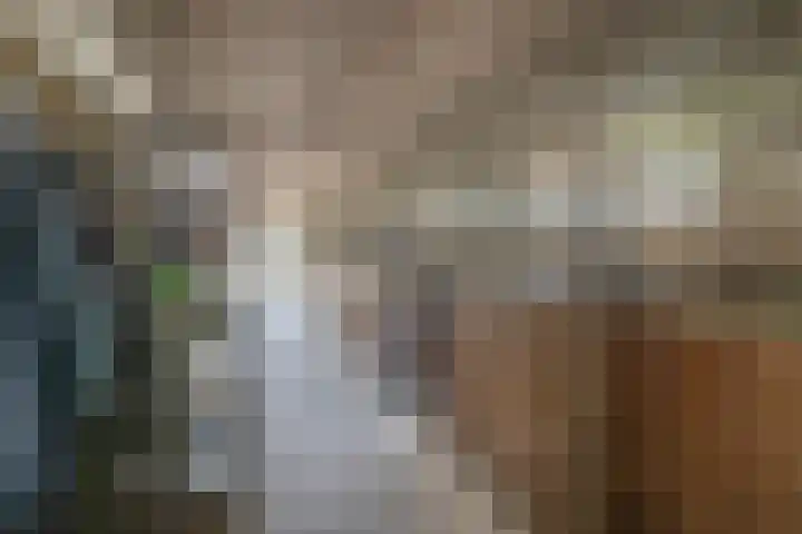 Buizerdweg 2 Heusden thumbnail 19