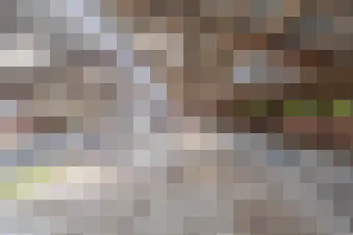 Buizerdweg 2 Heusden thumbnail 24