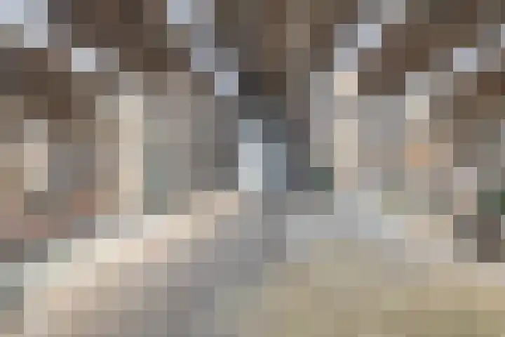 Buizerdweg 2 Heusden thumbnail 28