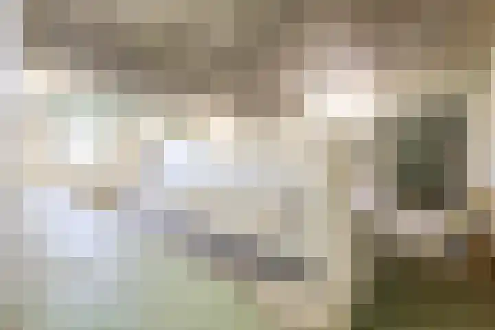 Buizerdweg 2 Heusden thumbnail 30