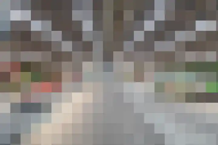 Buizerdweg 2 Heusden thumbnail 33