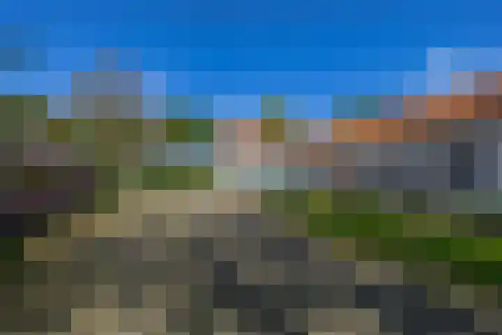 Buizerdweg 2 Heusden thumbnail 36