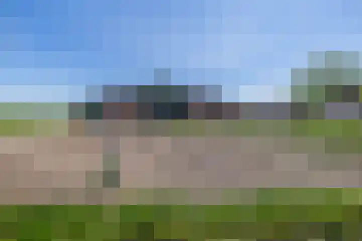 Buizerdweg 2 Heusden thumbnail 39