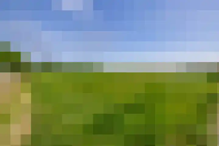 Buizerdweg 2 Heusden thumbnail 40