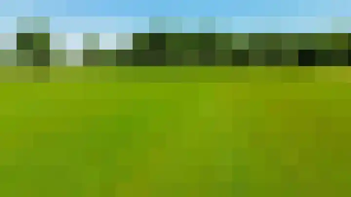 Buizerdweg 2 Heusden thumbnail 41