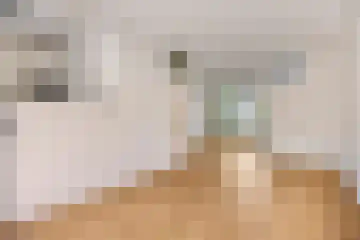 Buizerdweg 4 Alkmaar thumbnail 11