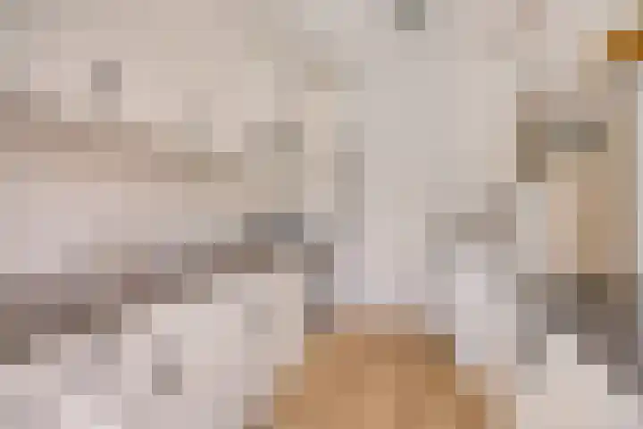 Buizerdweg 4 Alkmaar thumbnail 13