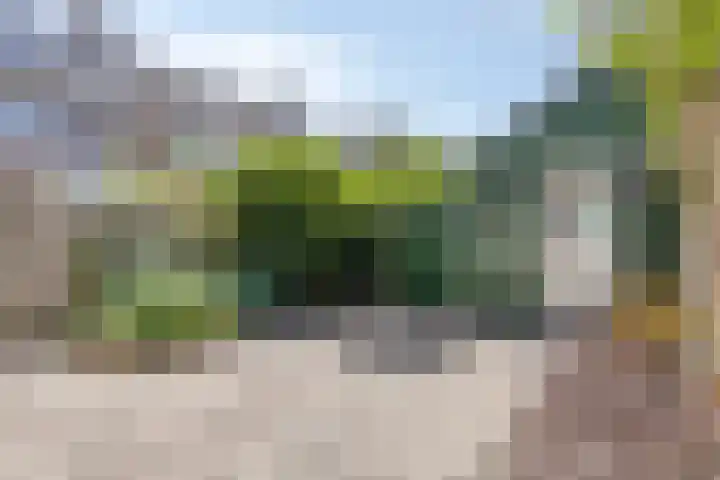 Buizerdweg 4 Alkmaar thumbnail 17
