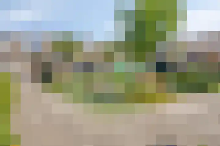 Buizerdweg 4 Alkmaar thumbnail 18