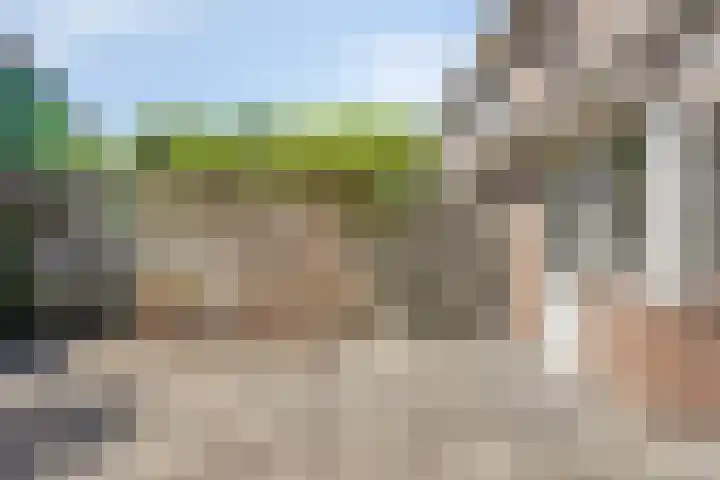 Buizerdweg 4 Alkmaar thumbnail 21