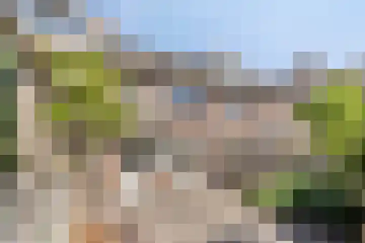 Buizerdweg 4 Alkmaar thumbnail 22
