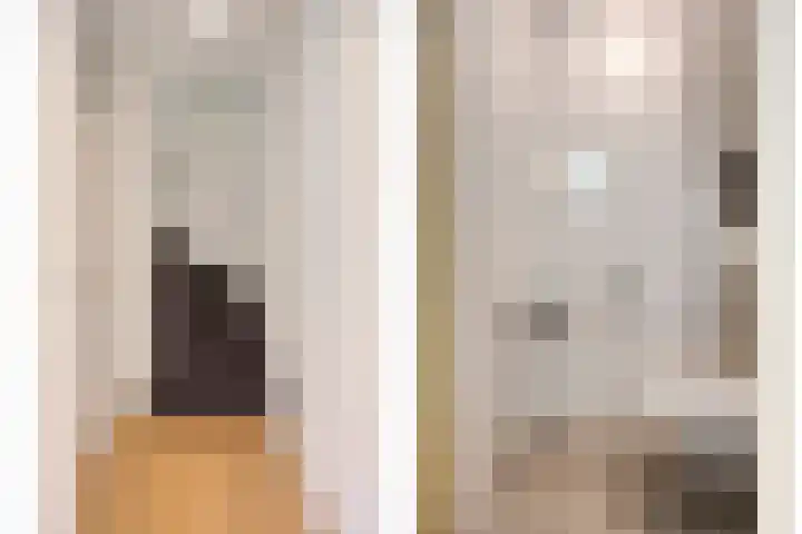 Buizerdweg 4 Alkmaar thumbnail 23