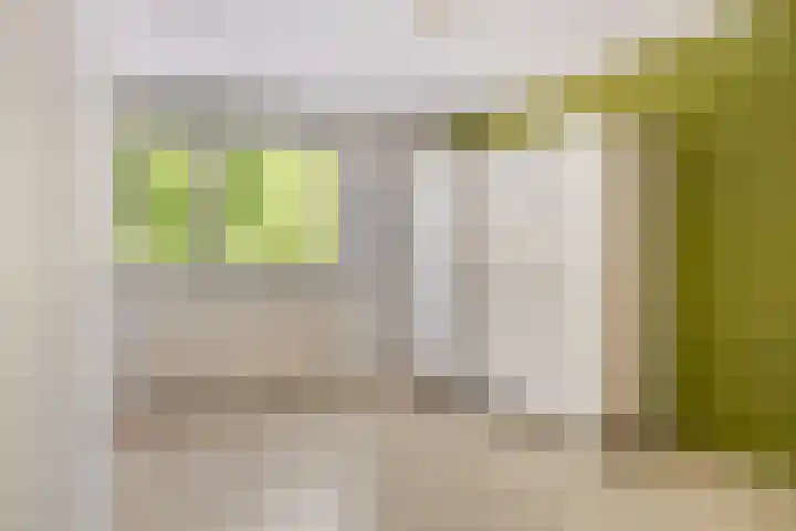 Buizerdweg 4 Alkmaar thumbnail 24
