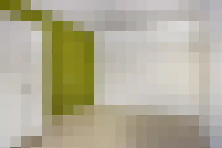 Buizerdweg 4 Alkmaar thumbnail 25