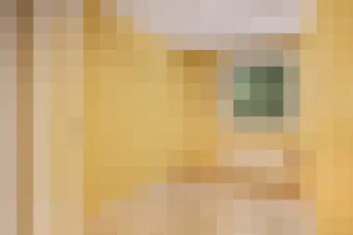 Buizerdweg 4 Alkmaar thumbnail 30