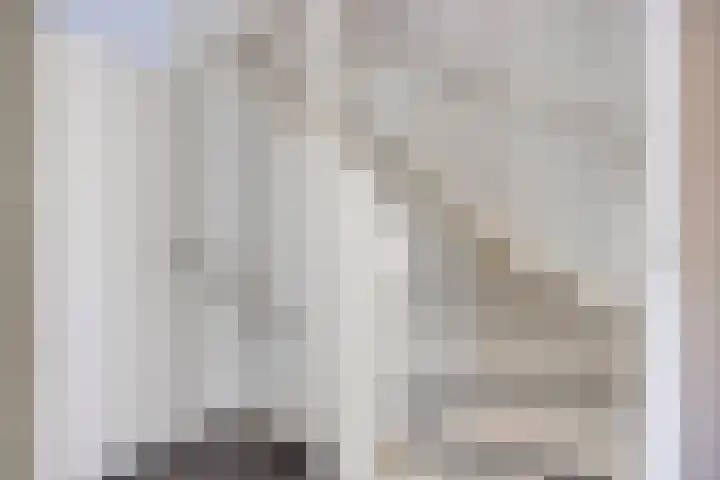 Buizerdweg 4 Alkmaar thumbnail 31
