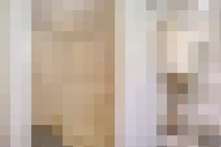 Buizerdweg 4 Alkmaar thumbnail 32