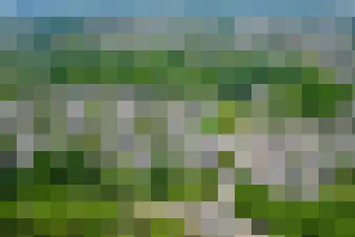 Buizerdweg 4 Alkmaar thumbnail 37